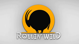 Rollin' Wild