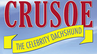 Crusoe the Celebrity Dachshund